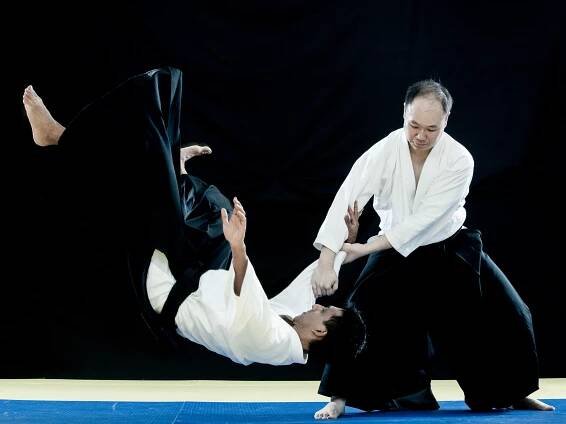 Ronny Ibrahim - Aikido