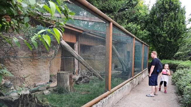 Voliéry v zoo Vyškov
