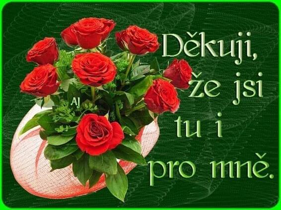 a bouquet of red roses sitting on top of a green sign that says dekui, zesi tu i pro mie