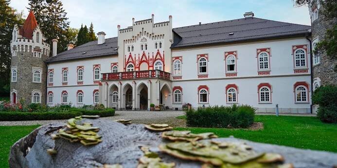 Piknikový koš plný dobrot i lahev prosecca v zámeckém parku Chateau Herálec