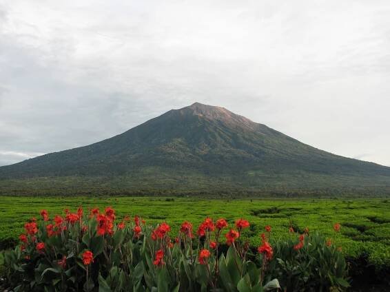 Kerinci (sopka)