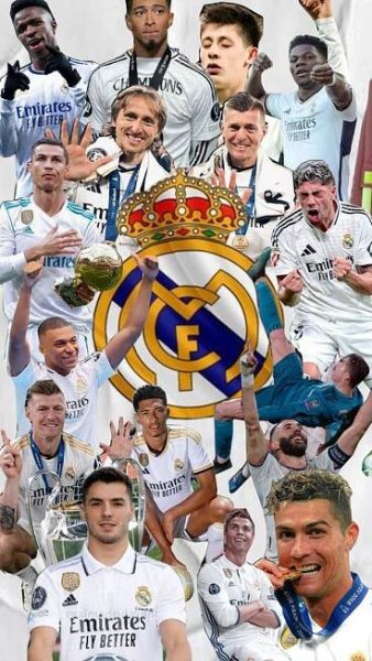 Pin de Linda Karlic en Willows birthdayyyy ideas en 2025 | Jugadores del real madrid, Fotos divertidas de perros, Fotos flipantes