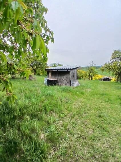 Prodej zahrady - Brno-venkov - Střelice - CP 690 m2