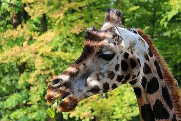 ZOO Zlín-Lešná, 24.9.2022