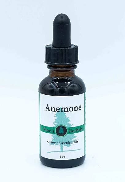 Single-Herb Tinctures — Pine's Herbals