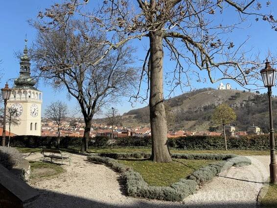 Kavárna na zámku | Město Mikulov