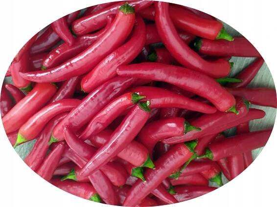 Pepperoni Peperoni Red Červená semínka pálivé chilli papričky pali2razy