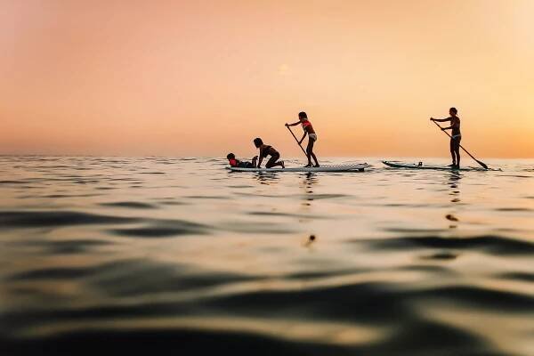Silhouettes of people paddleboarding on calm ocean waters during golden hour.