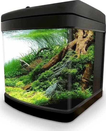 Invital EasyTank LED se zadní filtrací 50 l černé