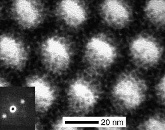 Warren Lab Publications 