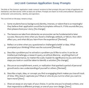 Application Essay Help | College Admission Writing Coach