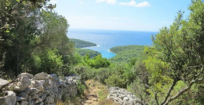 Lošinj_Krivica