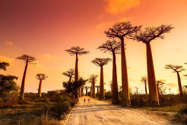 Madagaskar: zajímavá místa, která musíte vidět