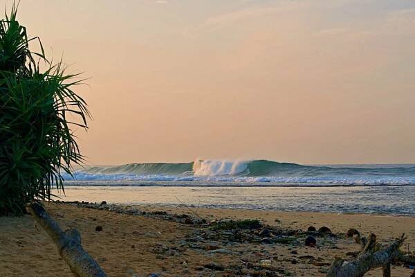 Hikkaduwa Sri Lanka: the Good, the Meh, and the Ugly - Coleman Concierge