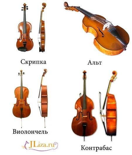 Smyčcové smyčcové nástroje
