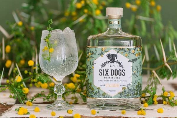 All you need to know about Six Dogs Karoo Gin