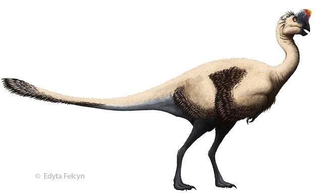 Grafiken und Illustrationen von Edyta Felcyn-Kowalska - Dinodata.de