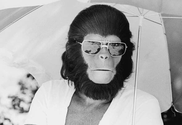 Biography of Roddy McDowall, Planet of the Apes Star