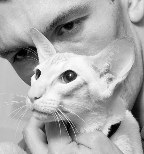 Cat Photography | Simon Kane Photography | Stunning Images To Last A Lifetime