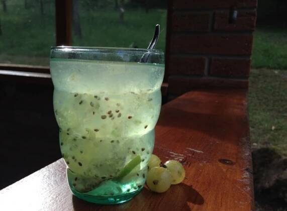Osvěžující angreštové limonády - všeOvodě.cz