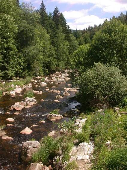 Kořenov