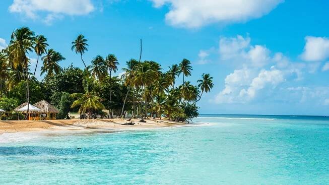Find your dream destination