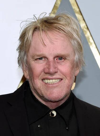 Actor Gary Busey attends the 88th Annual Academy Awards at Hollywood & Highland Center on February 28, 2016 in Hollywood, California