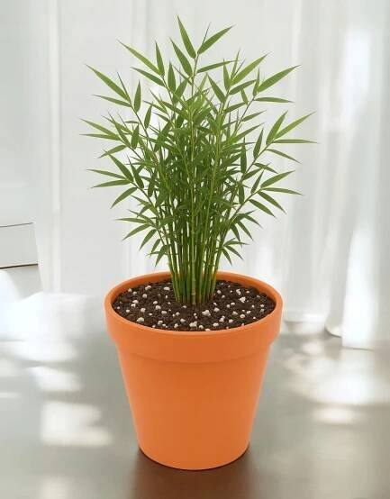 neko nadelspiel bambus Bamboo-Nadelspiel-Set