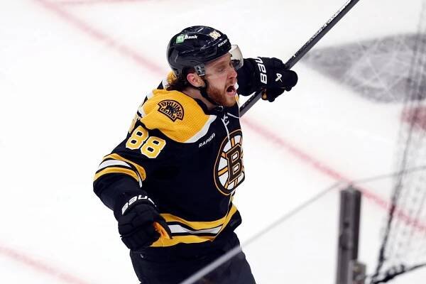 Profil hokejisty Davida Pastrňáka: statistiky, plat, góly, NHL, přítelkyně