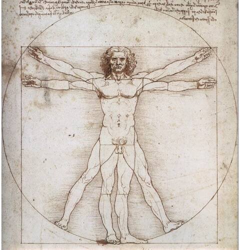 Datei:Medicina-Olistica-1100x1161.jpg – Wikipedia
