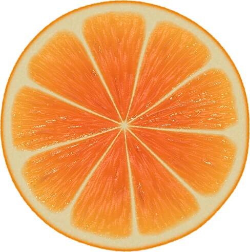 Orange Slice free photo download