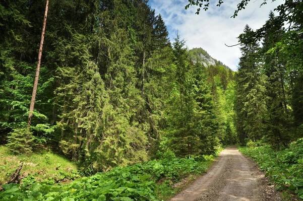 Túra: Bralnatá Gaderská dolina a hôľnatá Krížna | HIKING.SK