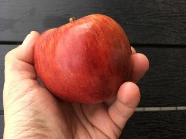 Jablka Braeburn: Krásná červená jablíčka stojí za to
