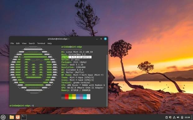 Linux Mint 21.3 Edge