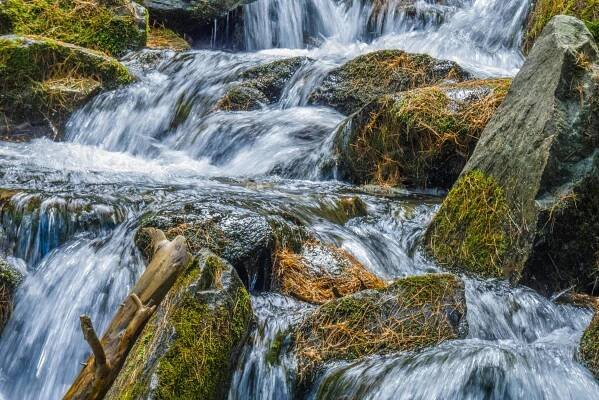Základová fotografie na téma břeh řeky, bujný, denní, divočina, dlouhá expozice, flóra, fotografie, fotografie přírody