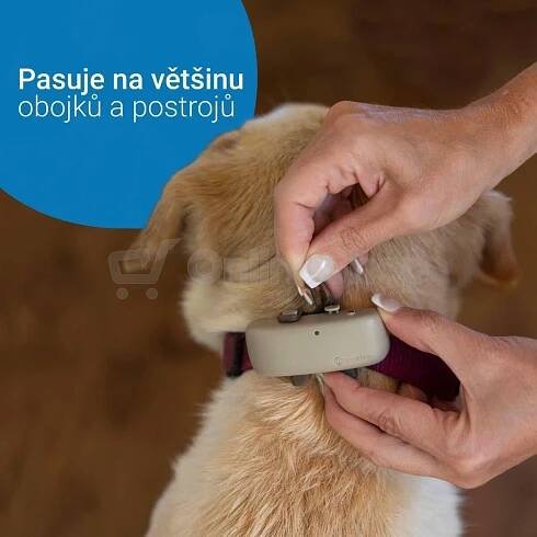 GPS Tracker pro psy Tractive DOG 4