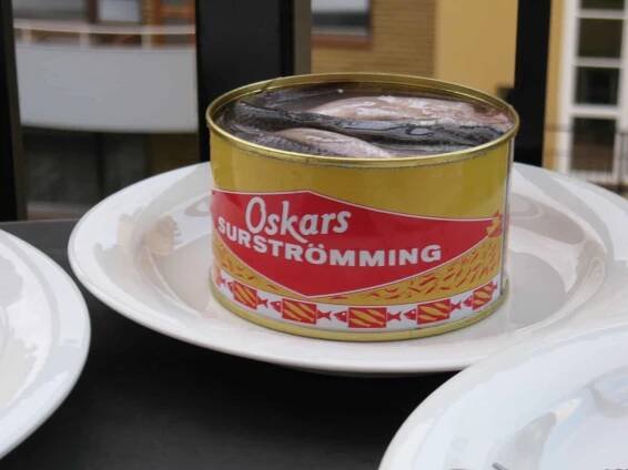 A can of Surstromming.
