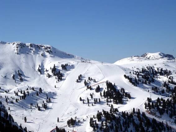 Webcam Pampeago - Obereggen - Predazzo