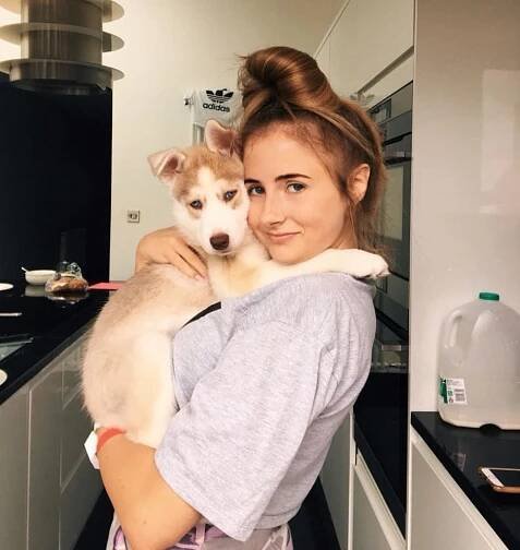 Kristen Scott Pet Dog