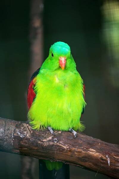 ZOO Plasy: Cesta kolem světa » evillina.com