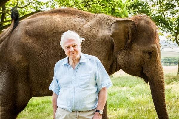 David Attenborough a obří dinosaurus (2016)