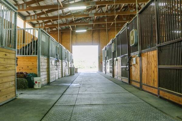 stalls