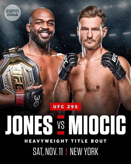 UFC 295: Procházka vs. Pereira (2023)