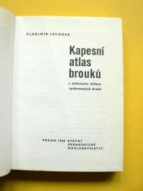 Kapesní atlas brouků Nosorožík Roháč Kvapník Tesařík (1968) | Aukro