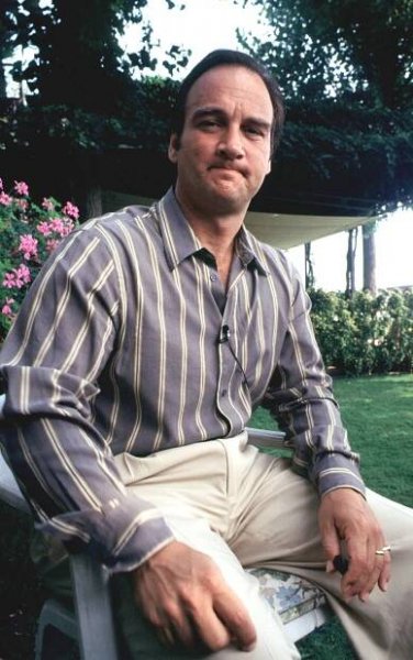 James Belushi – Wikipedia