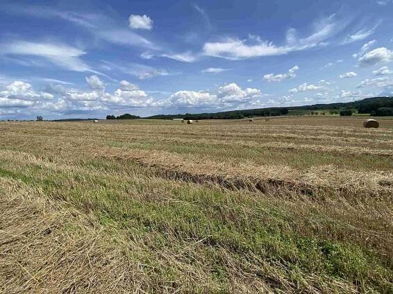 Prodej zemědělských pozemků Hrbov u Lhenic | Reality.iDNES.cz 
