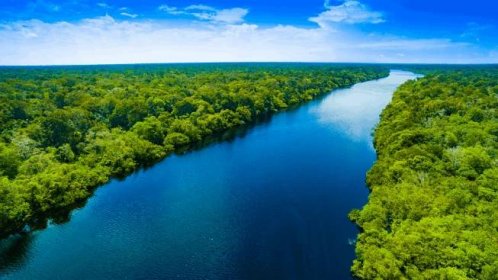 řeka amazonka v brazílii - amazonka - stock snímky, obrázky a fotky