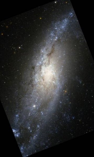 HST image of spiral galaxy NGC 406