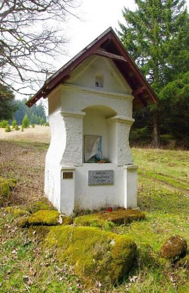 Lazy (Lázně Kynžvart) – Wikipedie