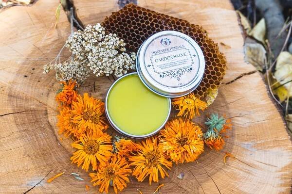 Herbal Salves — Honeybee Herbals 